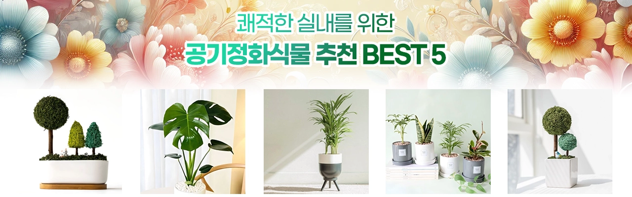 쾌적한 실내 공기정화식물 추천