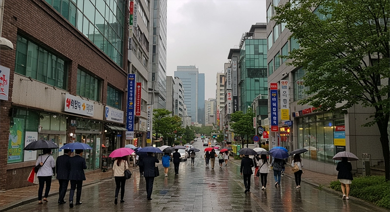 우산을 쓴 사람들이 거리를 오가는 현대 한국 도시 풍경