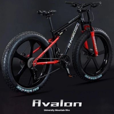 AVALON 팻바이크 풀샥 MTB